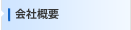 ЊTv