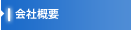 ЊTv